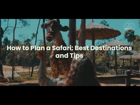 How to Plan a Safari: Best Destinations and Tips. 