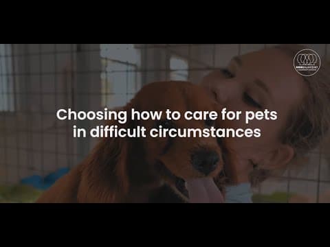 Choosing how to care for pets in difficult circumstances.