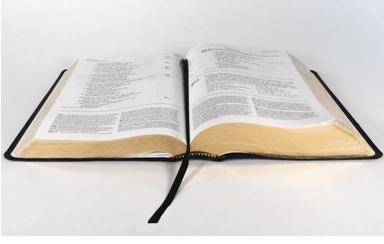 Can You Trust the Gospels?