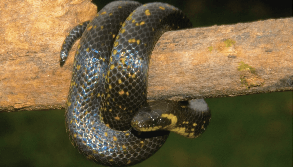 Temptation: How to Overcome, Grow Stronger, and Stay Close to God